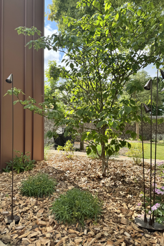 Résonance contemporaine